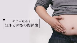 デブは高確率で短小に見える。下腹部を痩せれば解決することが殆ど