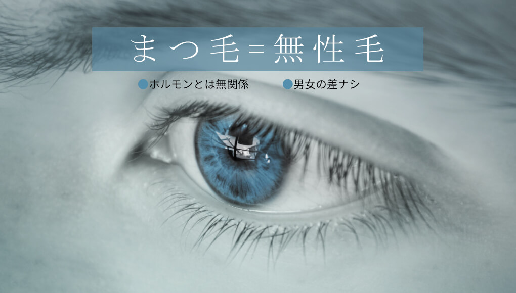 まつ毛は男性 女性ホルモンの影響を受けない無性毛です あんしん通販マートのwebマガジン